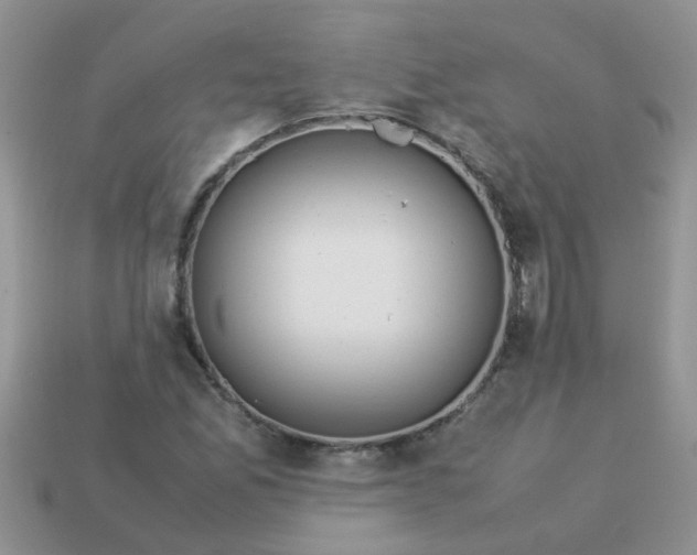 X0000113041165200909101912