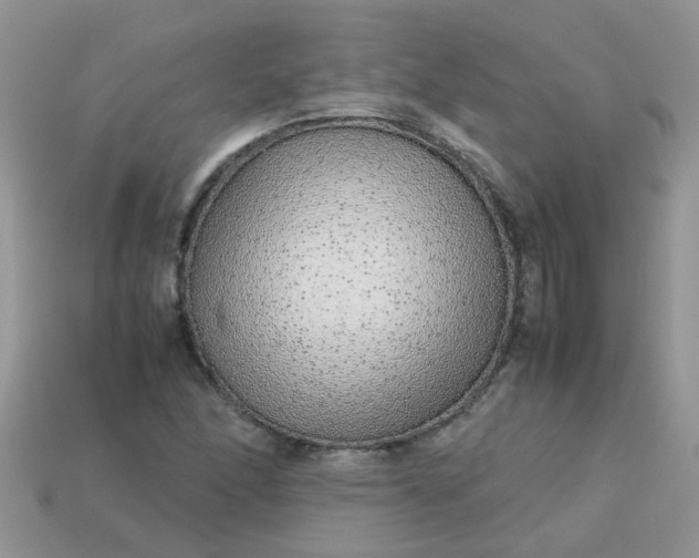 X0000113041166200909101912