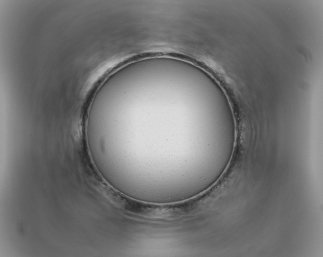 X0000113041167200909101912