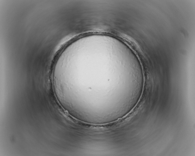 X0000113041168200909101912
