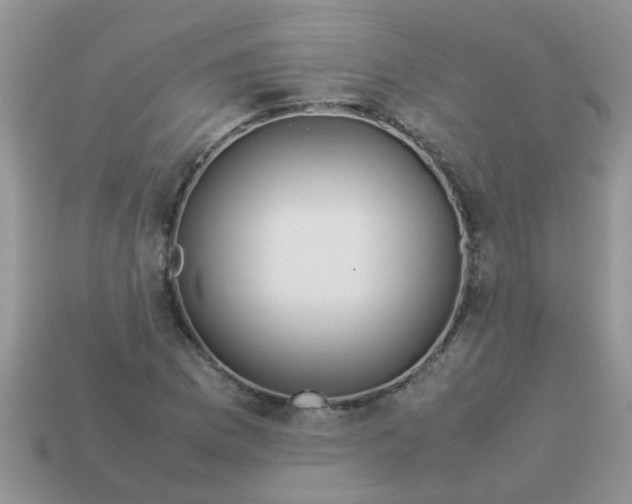 X0000113041169200909101912