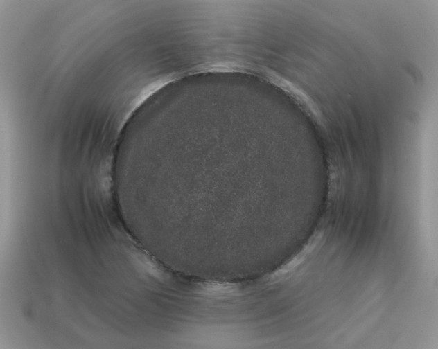 X0000113041170200909101912