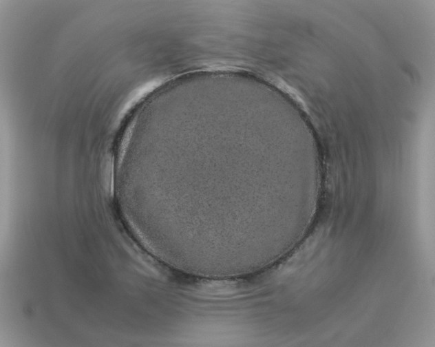 X0000113041171200909101912