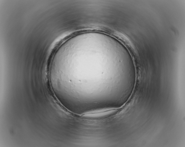 X0000113041172200909101912