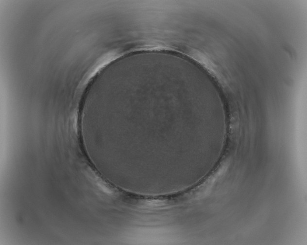 X0000113041173200909101912