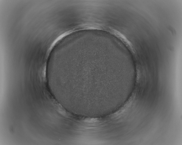 X0000113041174200909101912