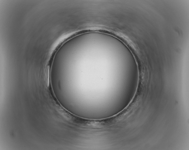 X0000113041175200909101912