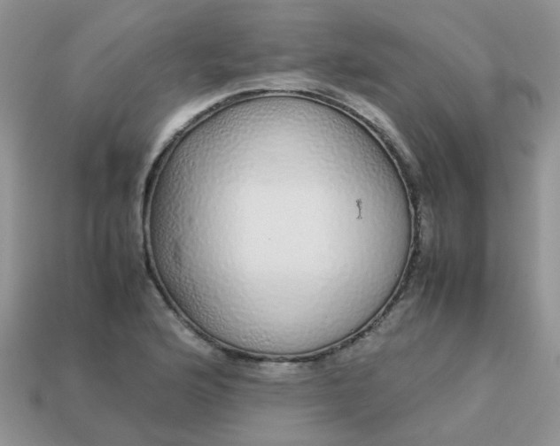 X0000113041176200909101912