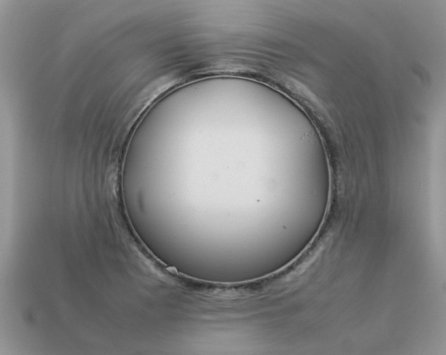 X0000113041177200909101912