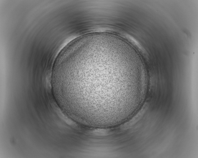 X0000113041178200909101912