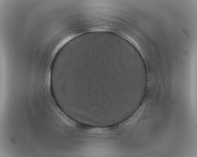 X0000113041179200909101912