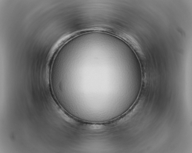 X0000113041180200909101912