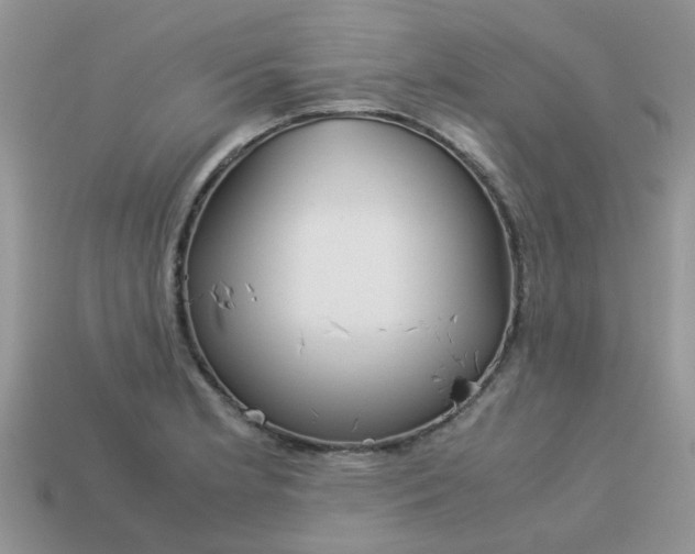 X0000113041181200909101912