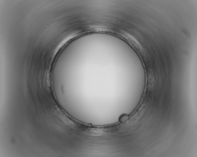 X0000113041182200909101912