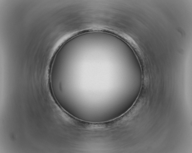 X0000113041183200909101912