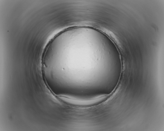X0000113041184200909101912