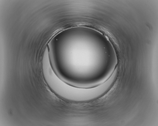 X0000113041185200909101912
