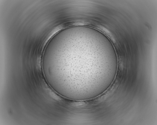 X0000113041186200909101912