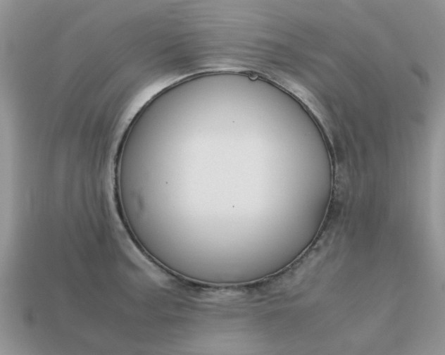 X0000113041187200909101912