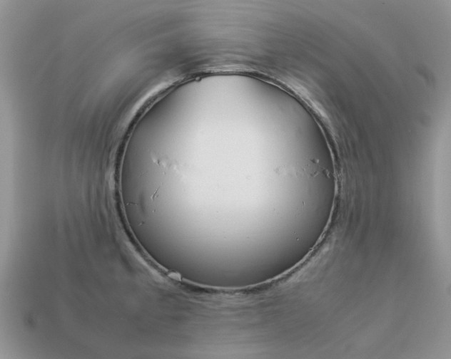 X0000113041189200909101912