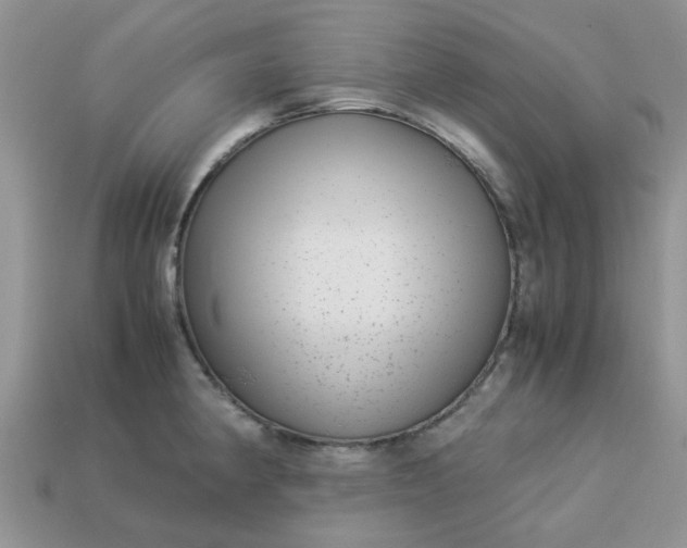 X0000113041190200909101912