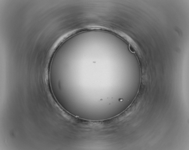 X0000113041191200909101912