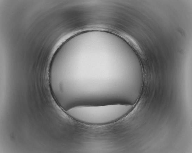 X0000113041192200909101912