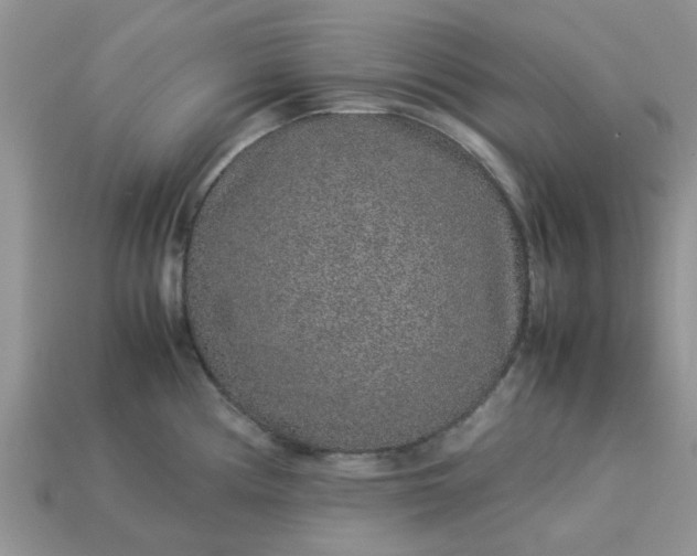X0000113041194200909101911