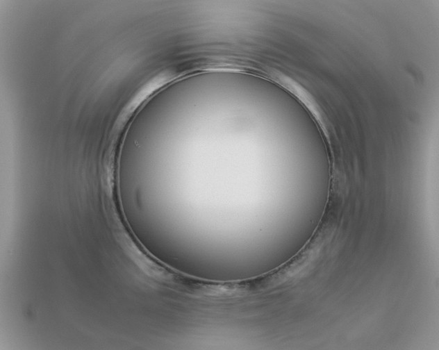 X0000113041195200909101911