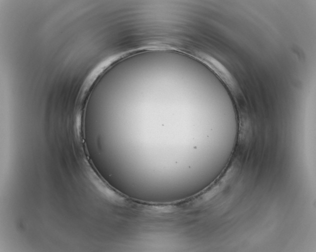 X0000113041196200909101911