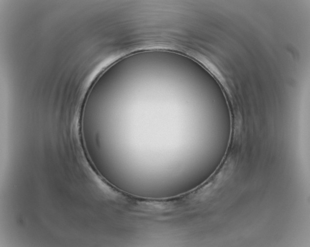 X0000113041197200909101911
