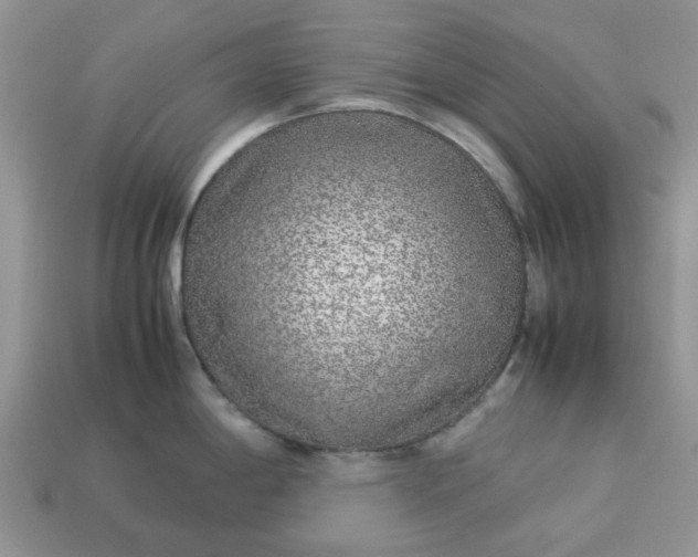 X0000113041198200909101911