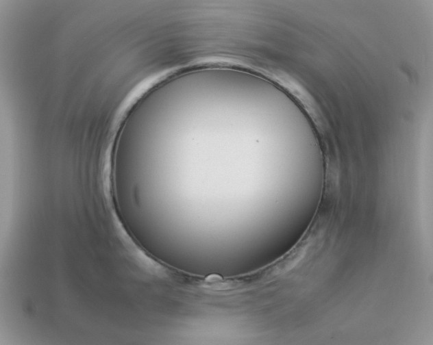 X0000113041199200909101911