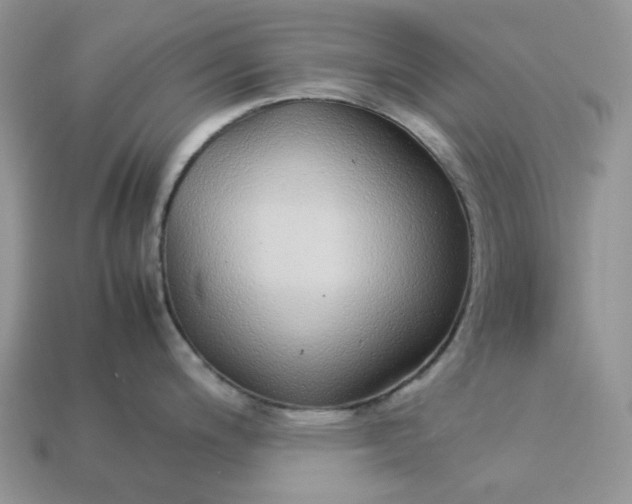 X0000113041200200909101911