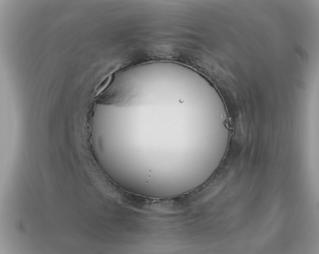 X0000113041201200909101911