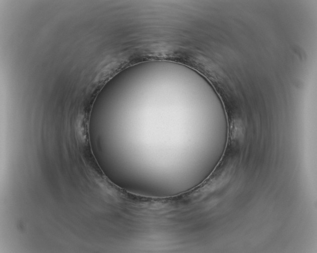 X0000113041202200909101911
