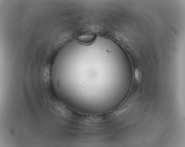 X0000113041203200909101911