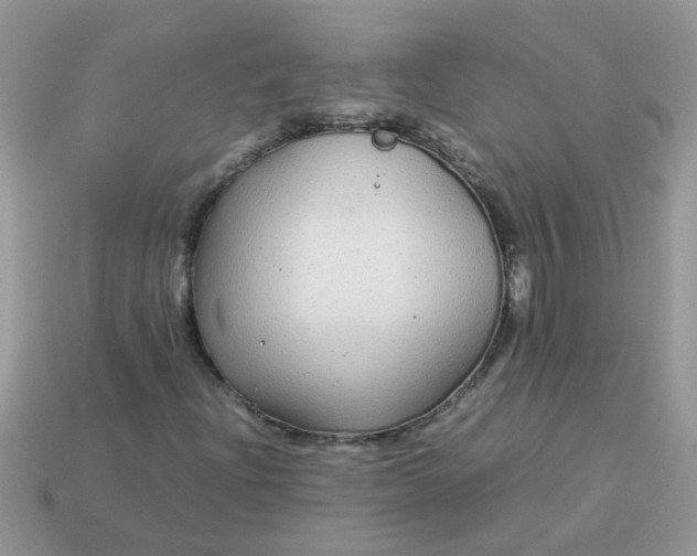 X0000113041204200909101911