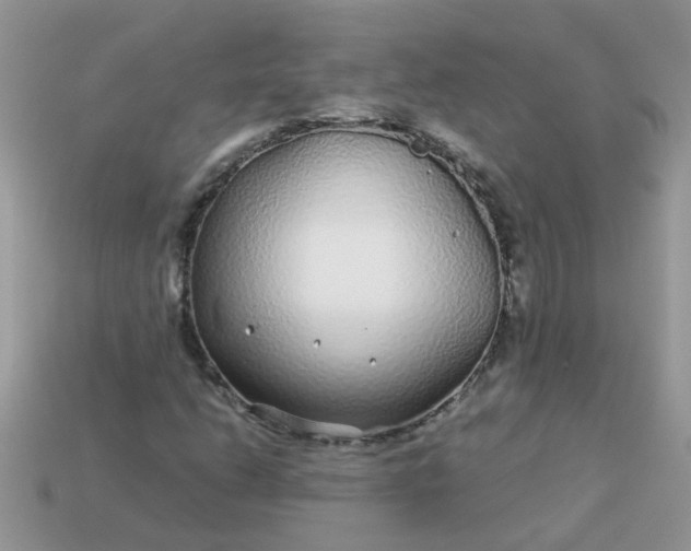 X0000113041206200909101911