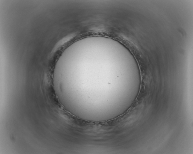 X0000113041207200909101911