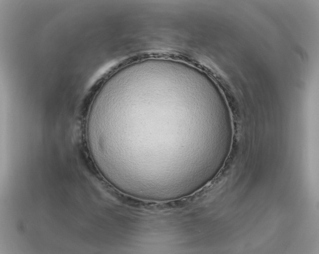 X0000113041208200909101911