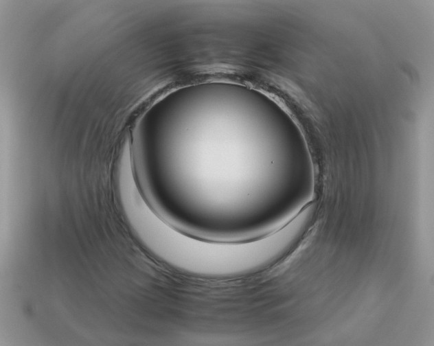 X0000113041209200909101911