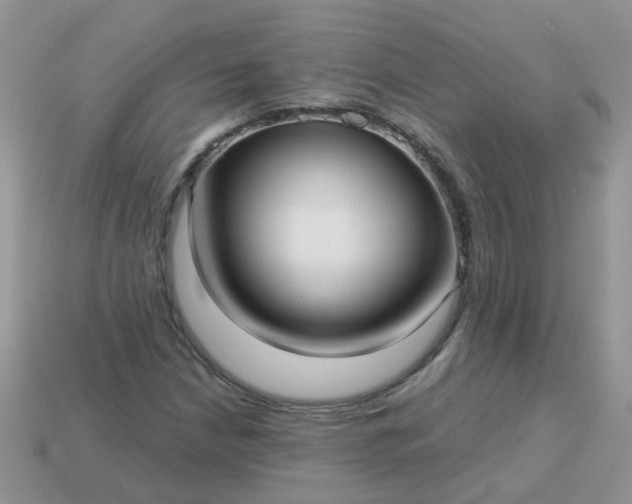 X0000113041210200909101911