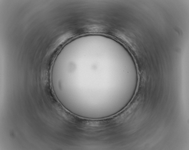 X0000113041211200909101911