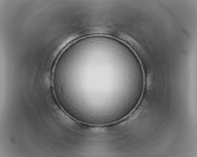 X0000113041212200909101911