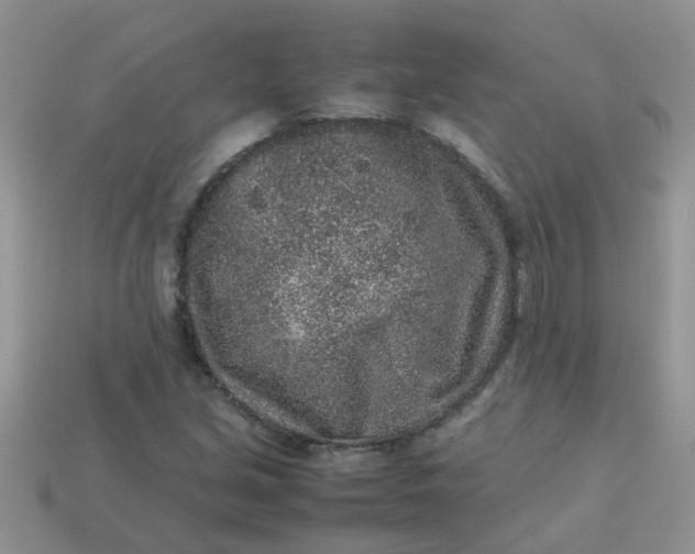 X0000113041213200909101911