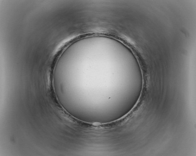 X0000113041214200909101911