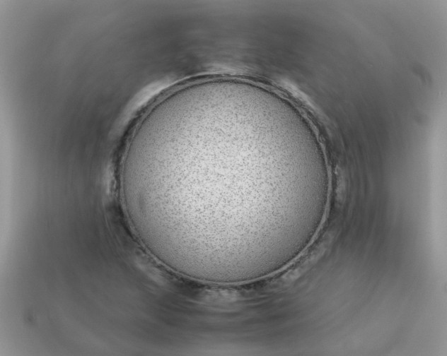 X0000113041215200909101911