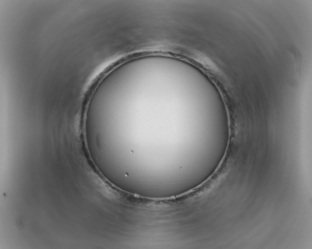 X0000113041216200909101911