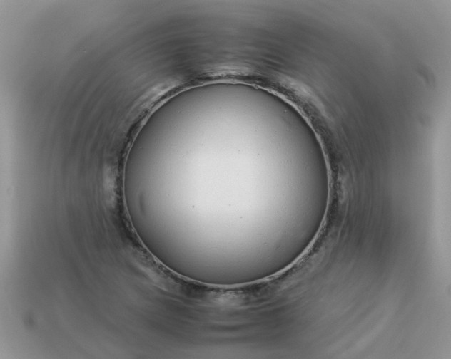 X0000113041217200909101911